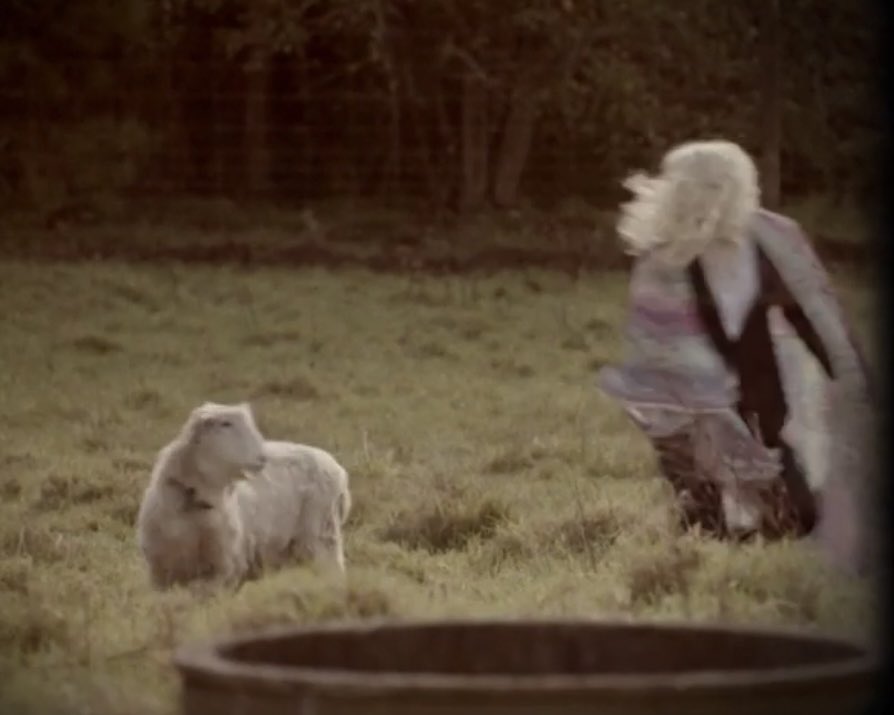 poorlydrawnTM's tweet image. get off the grass!!

#taskmasterau