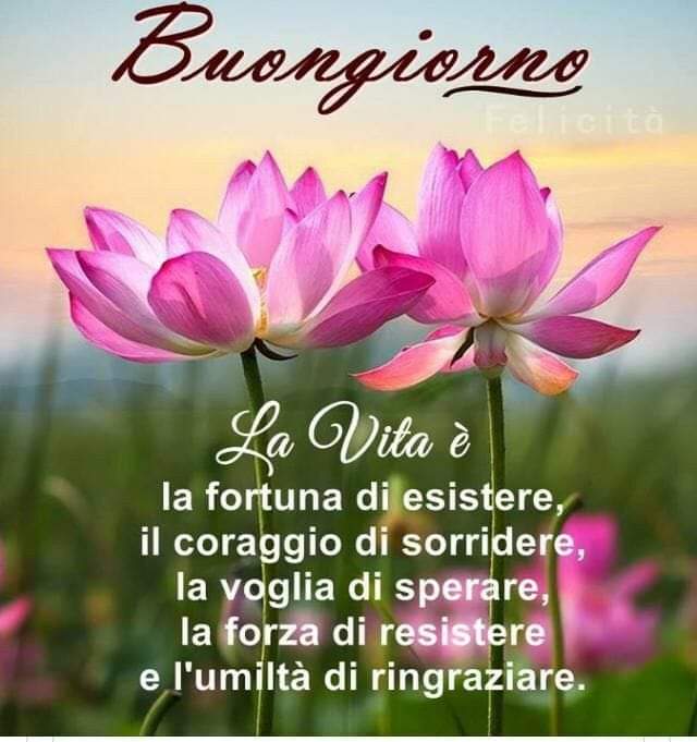 Marianna tweet media