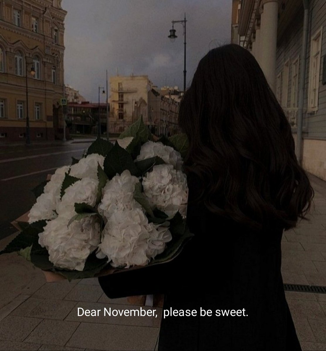 mood novella tweet media