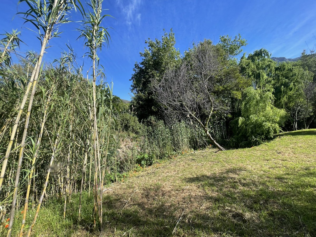 alexlansdowne's tweet photo. #KnowYourRiver

Large sections of the Hout Bay river are bordered by private property. It’s great to see residents taking custodianship of their section by clearing aliens and preventing erosion. https://t.co/dYbpbJgZbq