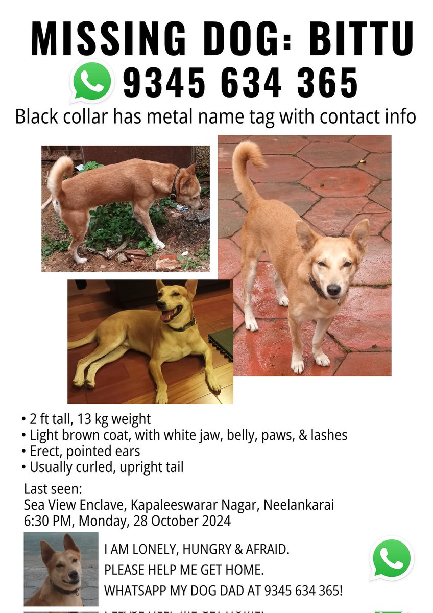 I've long likened myself to Liam Neeson's character in describing my work.

I didn't expect to have to channel him as a DOG DAD.

My Bittu has been missing for 4 days now. 

Would you please amplify the search &amp; WhatsApp my team at +91 9345634365 if you spot him?

🙏