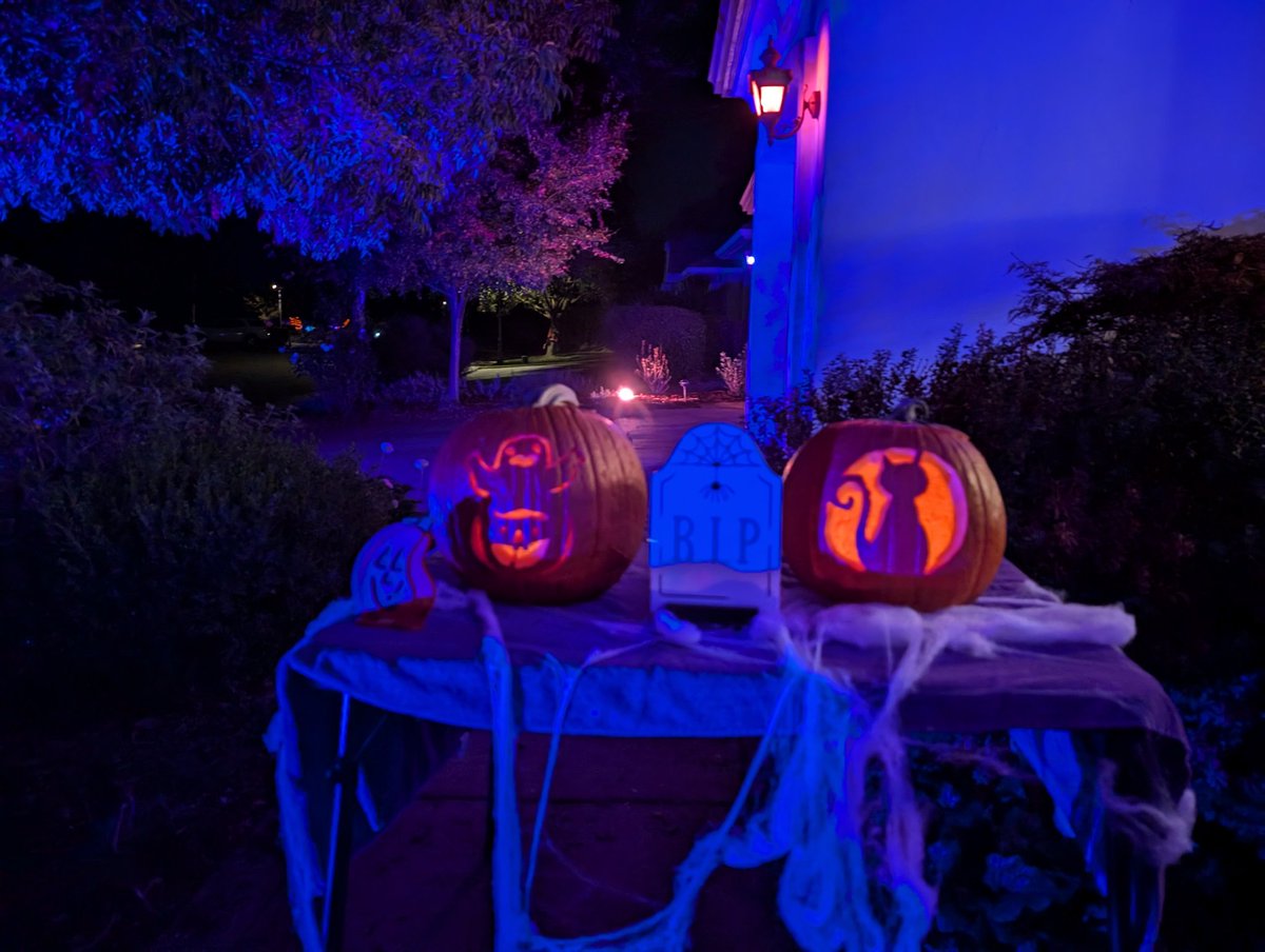 Grant Dasher tweet media