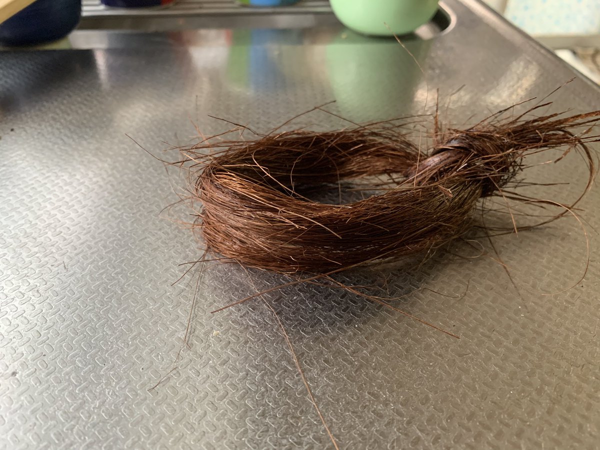 若いがこれからは排水のことを考えて
合成素材のスポンジからシュロたわしにした。これなら　
#マイクロプラスチック
は出るまい。
#環境
#ゴミ