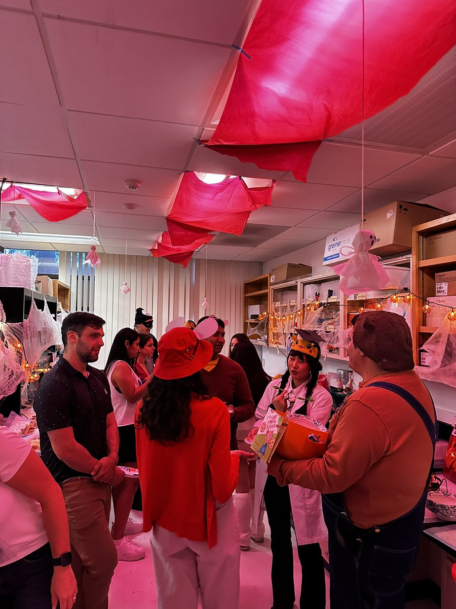 Thomas P200 Burke tweet media