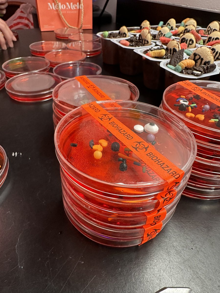 Thomas P200 Burke tweet media