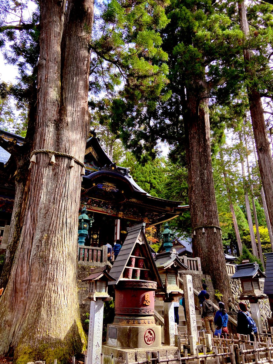 mrkon369's tweet photo. 朔日参り⛩️
これから始まるミッションの、
記念すべき日になりました。 https://t.co/9qvcOClTV3