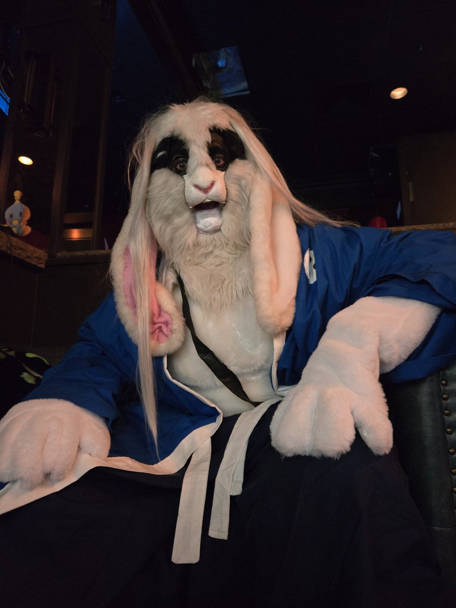 Amorpheous-E-Bunny tweet media