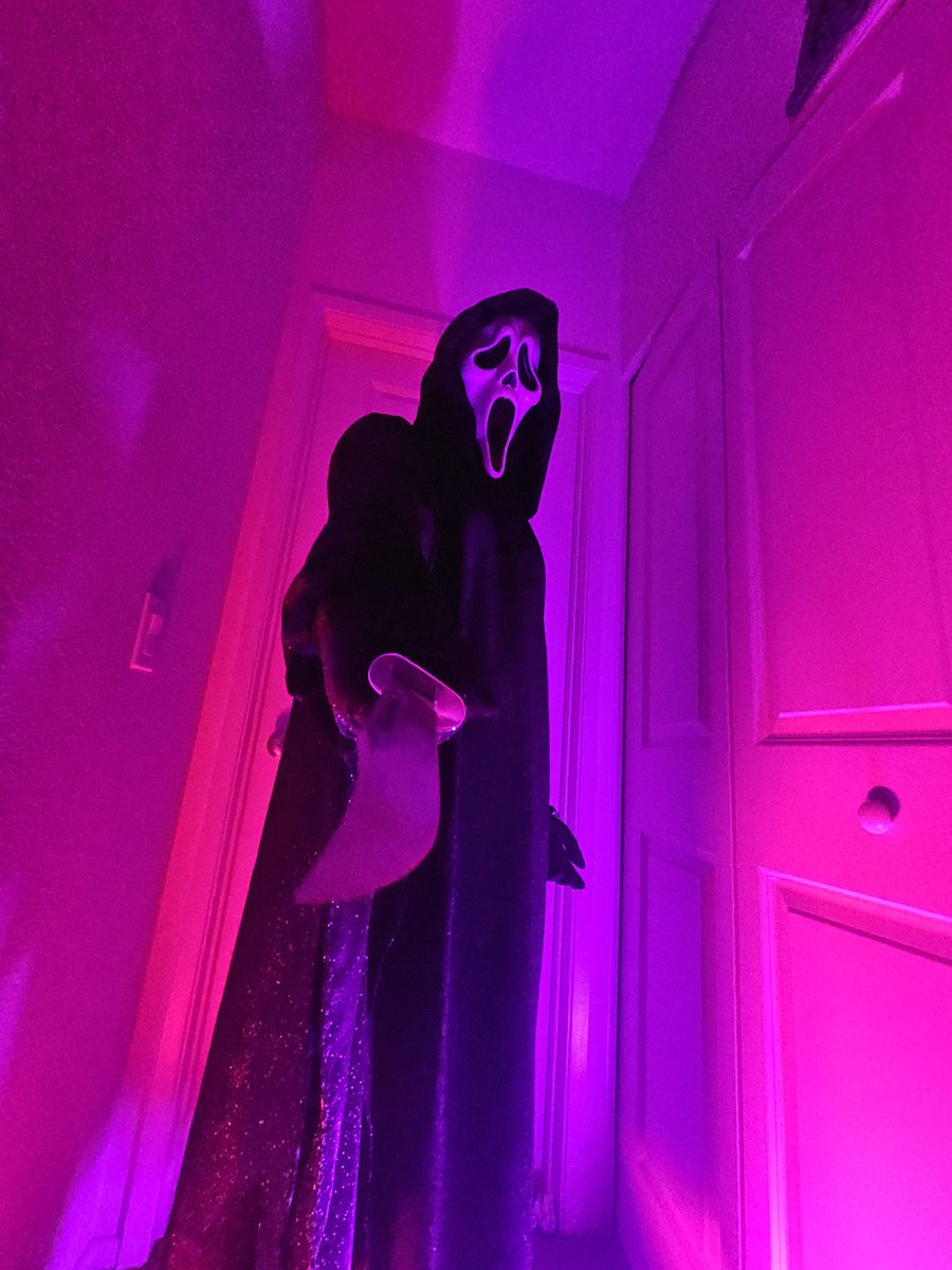 LexTheFloof's tweet photo. Happy Halloween :) https://t.co/5Qu63oDJxW
