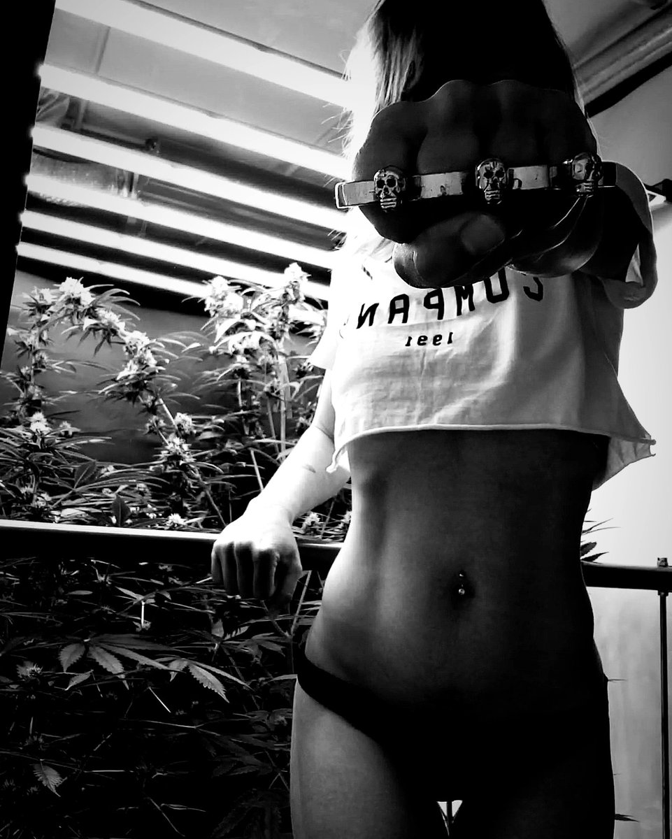 🎃🌿 #GrowYourOwn