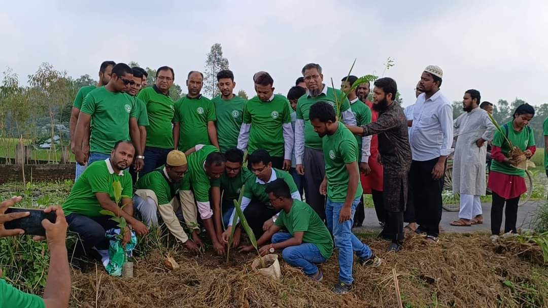 কালিহাতীকে সবুজায়িত করতে বৃক্ষরোপন কর্মসূচি