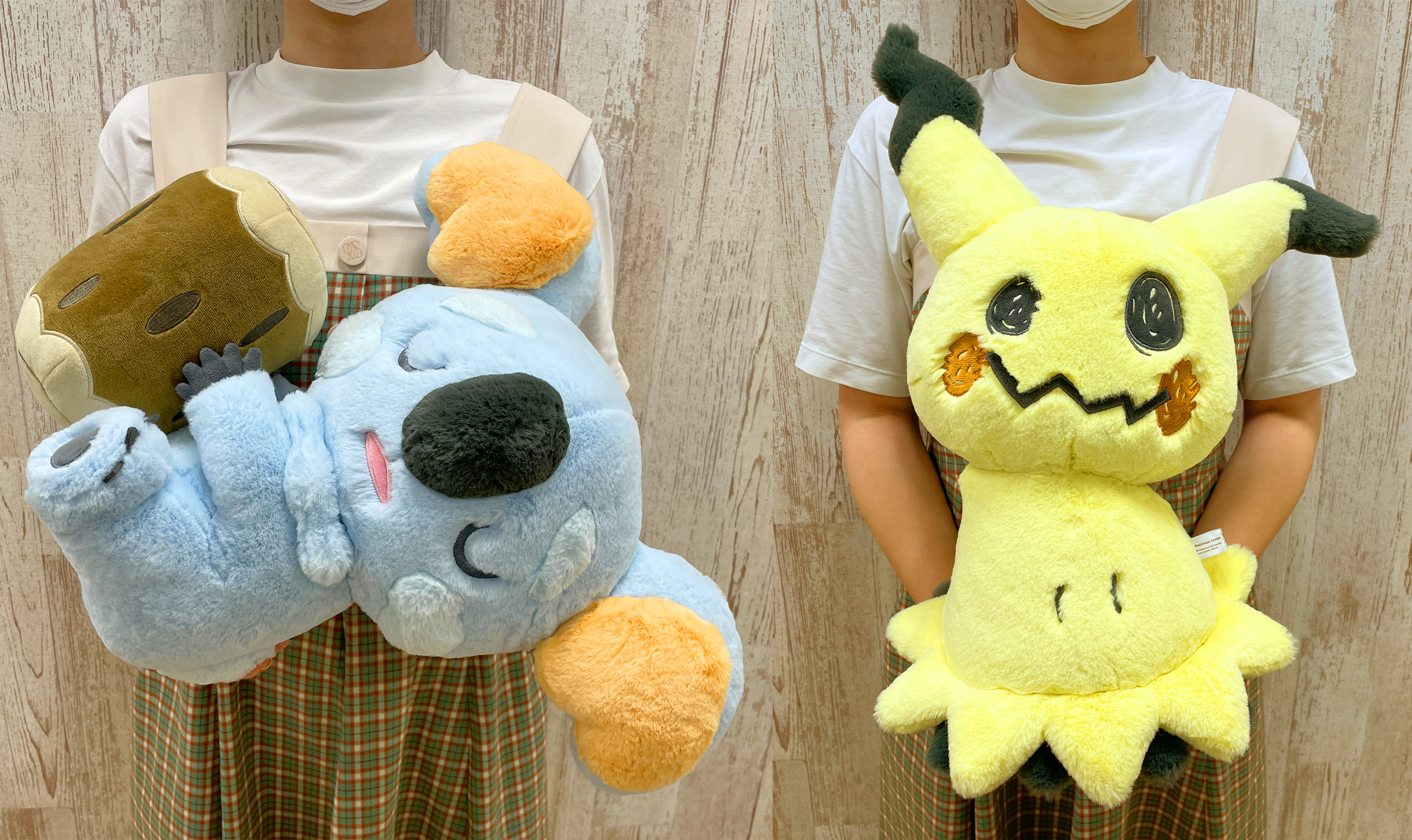 ポケモンセンターオリジナル ふわふわ抱きぬいぐるみ 隔て ポケモンセンターオリジナル ふわふわ抱きぬいぐるみ 隔て