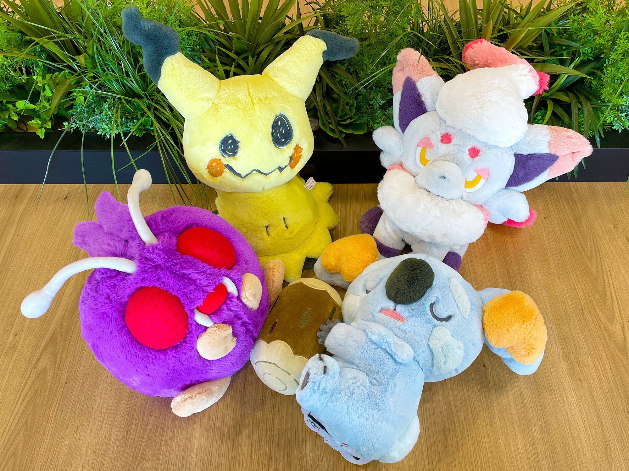 楽天市場】ポケモンセンターオリジナル ふわふわ抱きぬいぐるみ