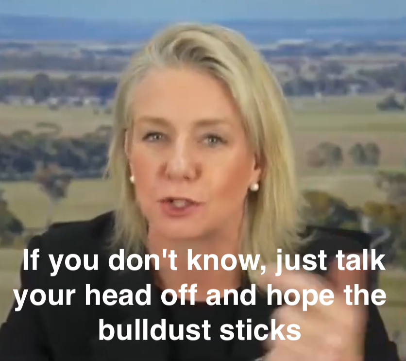 RayScanlan1's tweet photo. @Peter_Fitz #auspol24 #auspol #LNP #bulldust https://t.co/4IC2neRVCW