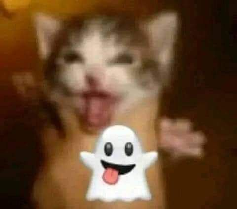 GatitoMeov's tweet photo. @Vaquita_Bronce @NautTv wn en krita yo pensé que estaba animando en 16 fps y no fue que cuando exporté la animación y me puse a editarla que me di cuenta que la wea era de 24 fps, no me había dado cuenta que estaba haciendo una animación re fluida XDDD https://t.co/49xpYBPr4o