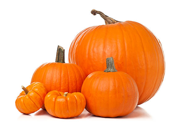 Jacob Rubin tweet media