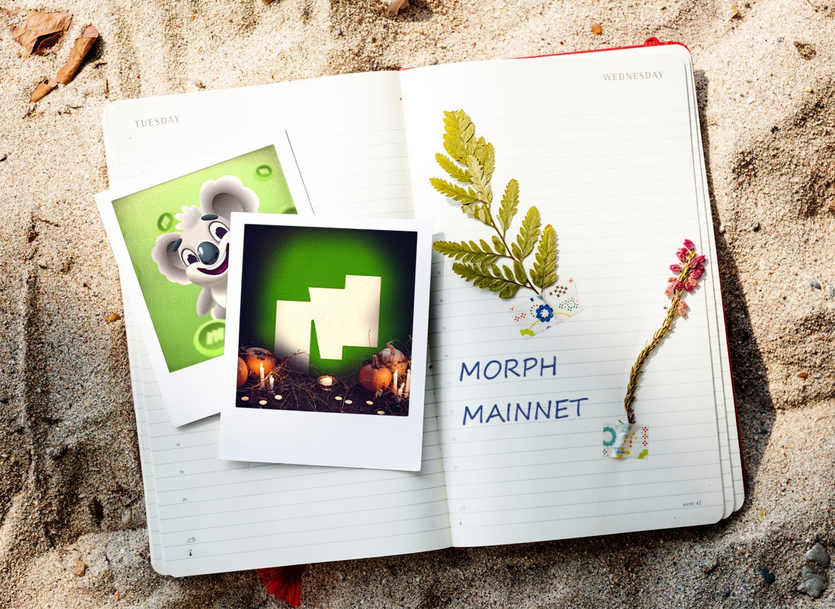 Cryptoskill1's tweet image. @MorphL2 #GMorph #Mainnet

           😊  #Halloween