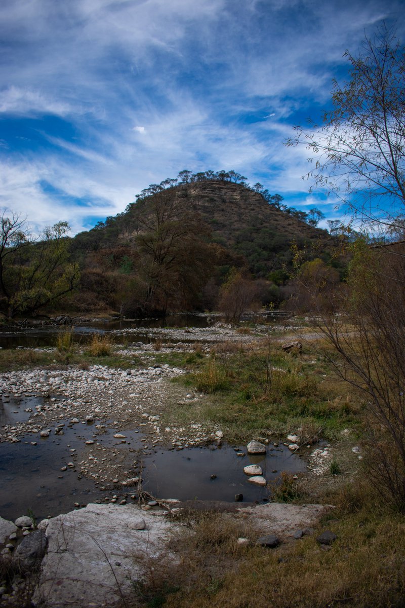 ZonaDocs's tweet image. Un silencioso extractivismo está dañando a cuerpos de agua y poblaciones enteras.

Este lunes, la investigación en ZonaDocs: #RíoVerde: las aguas del despojo

✏️Melina Gil
📷Alejandro Velazco
