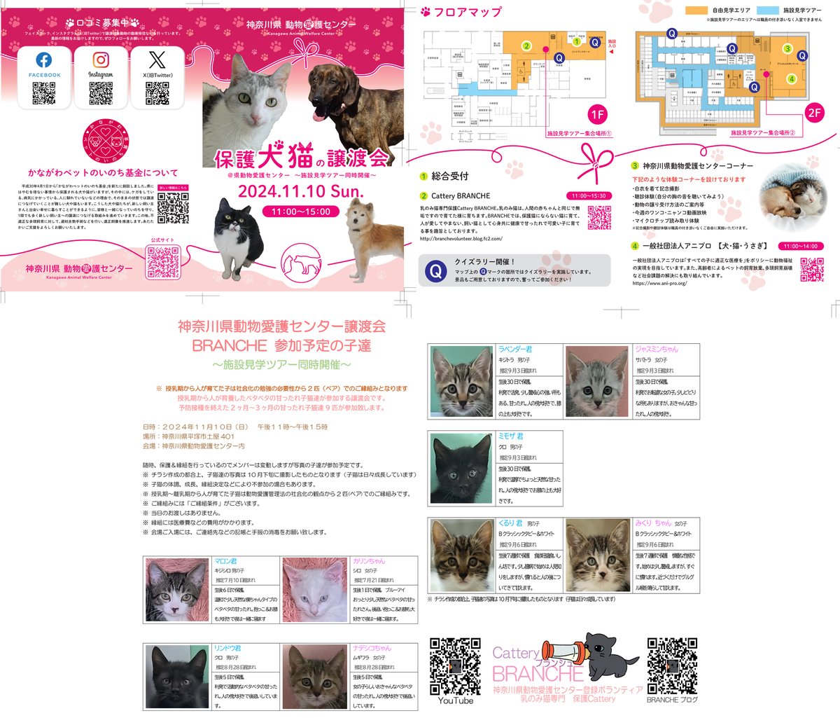 Cattery_Branche's tweet photo. 【拡散希望】神奈川県動物愛護センター譲渡会のお知らせ https://t.co/Epp4eoCmea 
施設見学ツアー同時開催致します。

日時：１１月１０日（日）午前１１時～午後１５時
場所：神奈川県平塚市土屋401
会場：神奈川県動物愛護センター内 https://t.co/P5zEwvBhrQ