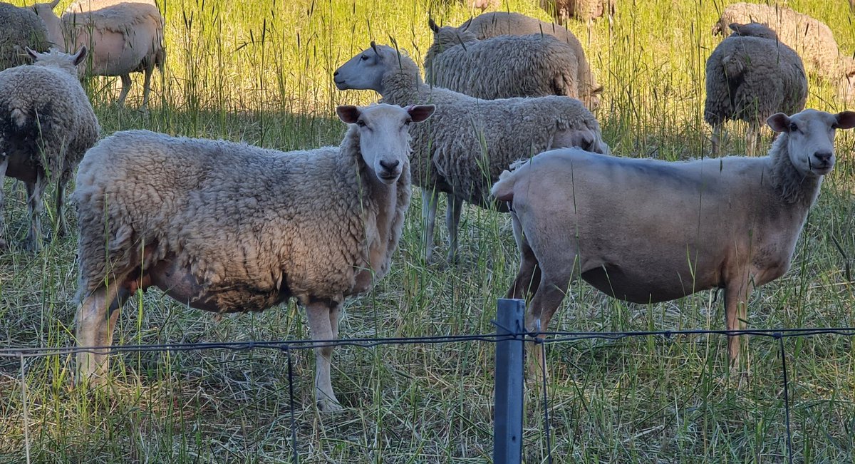 Stuart Kemp tweet media