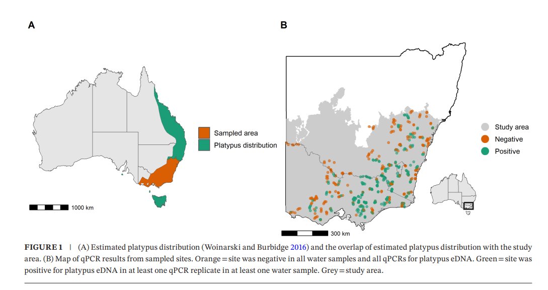 How can we use environmental DNA (eDNA) sampling  to systematically collect species occupancy data rapidly and efficiently across vast spatial domains to improve understanding of factors influencing species distributions? onlinelibrary.wiley.com/doi/pdf/10.111…