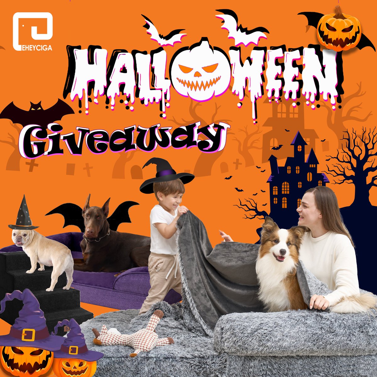 eheyciga's tweet photo. TREAT YOUR PUP GIVEAWAY! 🐶✨
 Your dog deserves the best! 
Join to win some paw-some EHEYCIGA products that’ll have your pup tail-wagging with joy! 🐕🎁

HOW TO WIN?⁠
🌟 Follow @eheycigapet
Giveaway Only in US!
Giveaway Ends: 7/11/24 10:00 PM CST https://t.co/12fFii5bAu
