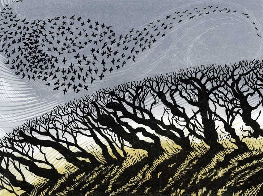 '#November Starlings' 
by Niki Bowers, 
Norfolk-based, UK
 contemporary printmaker #WomensArt #November1st