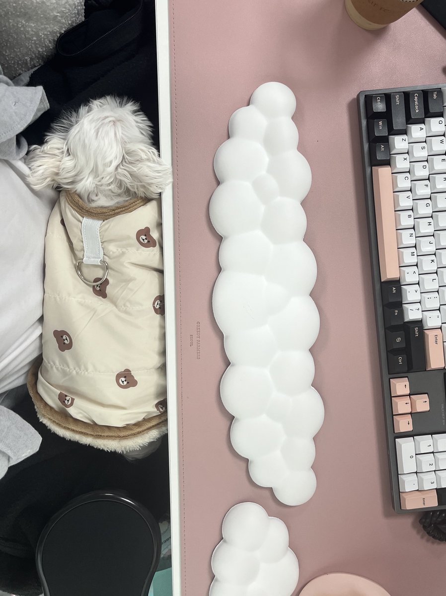 나의 핫도그 강아지를 보세요
엄마는 일하는데 이 핫도그는 드렁슨드렁슨 달콤한 단잠을 잡니다