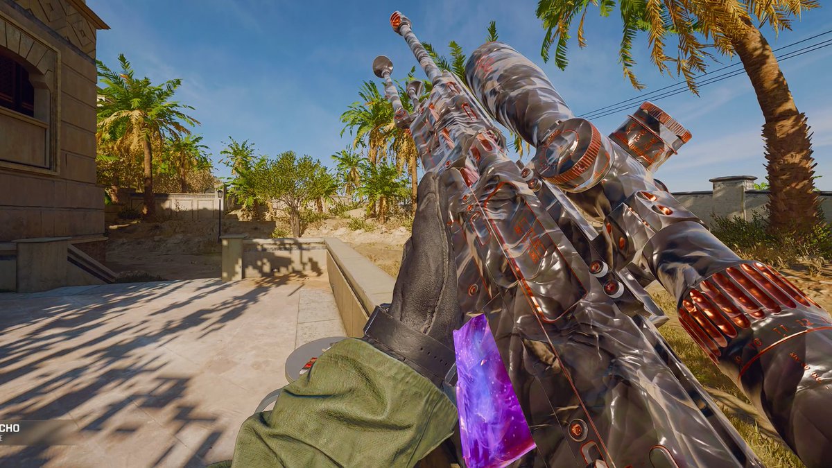 WHOH's tweet photo. If you combine the Onyx Echo LR 7.62 blueprint you get from the campaign with mastery or select camos they turn into One Trick, Obsidian and Bold Color camos! #BO6 More below 👇 https://t.co/LERXqNfRQA