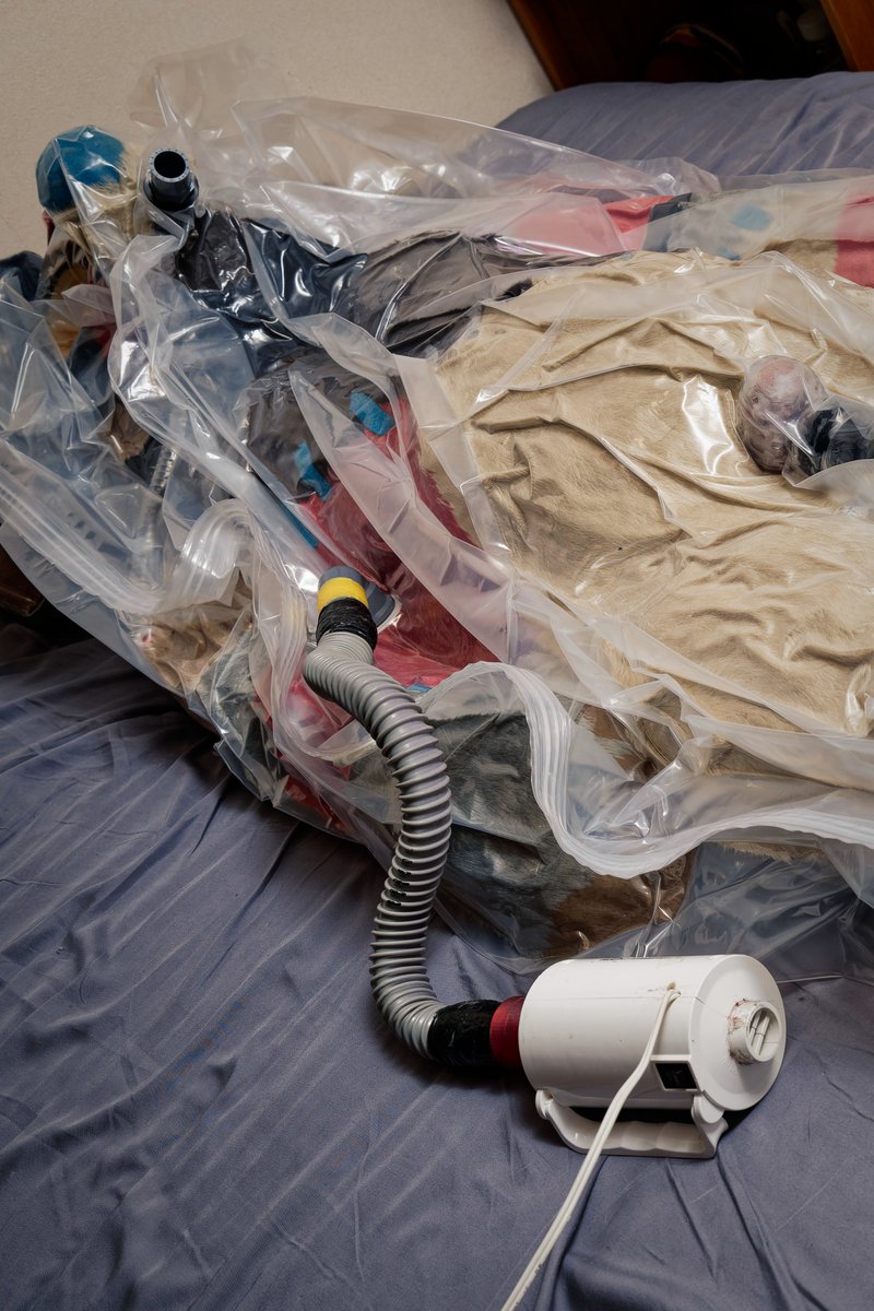 アニマルスーツ@yamacha tweet media