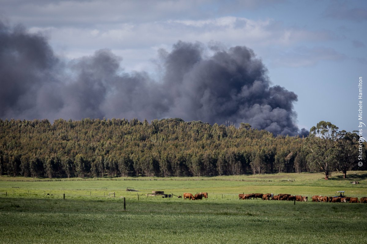 Hamiltons_Run's tweet photo. First day of  Fire Danger Season in Limestone Coast and there is already a problem.  It appears to be well under control with two fire trucks attending, but it just goes to show you can't be too careful.
#CFS
#fireseason2024
#GrantDistrictCouncil
#limestonecoast
#southaustralia https://t.co/u7P6zjEZOy