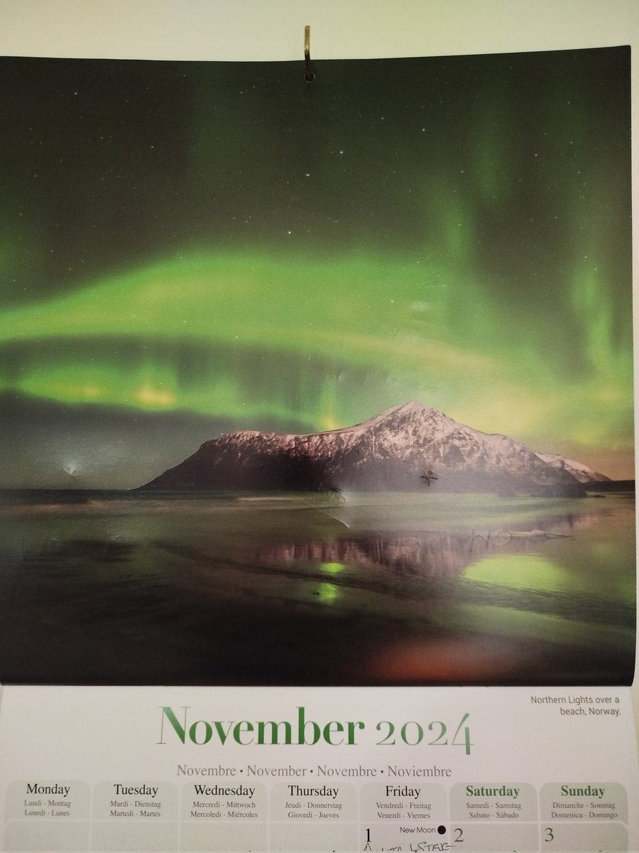 Good morning NOVEMBER '24
how the hell did that happen 🤔