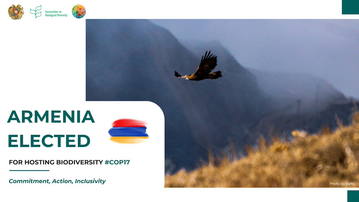 MFA of Armenia🇦🇲 (@mfaofarmenia) on Twitter photo 📢 #Armenia elected to host 17th <a href="/UN/">United Nations</a> Biodiversity Conference (COP17)!
🇦🇲thanks parties to #UN Convention on Biodiversity for trust & support & stands ready to make sure that #COP17 in Yerevan in 2026 is another milestone in global efforts for global biodiversity preservation! 📢 #Armenia elected to host 17th <a href="/UN/">United Nations</a> Biodiversity Conference (COP17)!
🇦🇲thanks parties to #UN Convention on Biodiversity for trust & support & stands ready to make sure that #COP17 in Yerevan in 2026 is another milestone in global efforts for global biodiversity preservation!