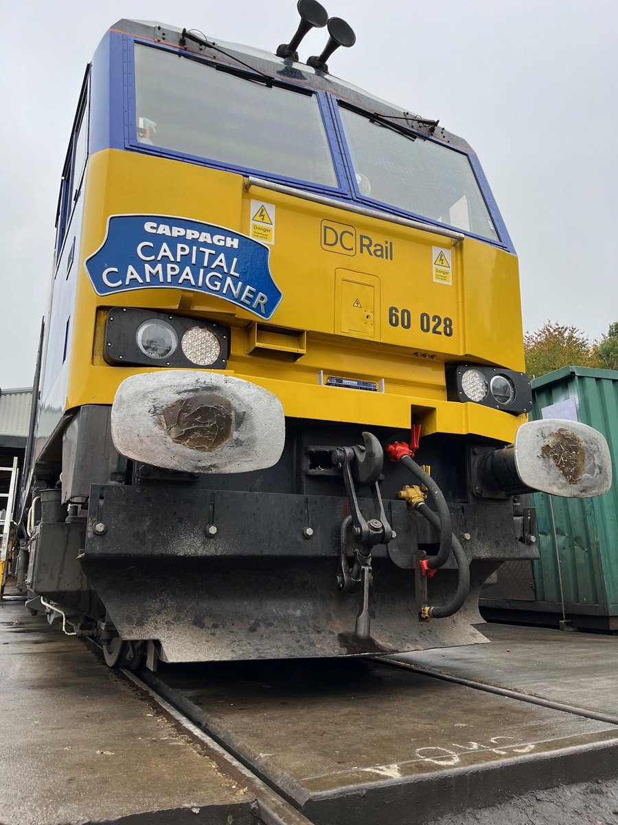 cavalexmodels tweet media