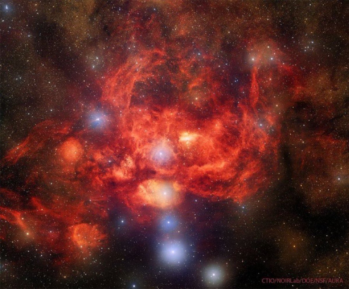 The Lobster Nebula, in the Scorpius, houses the open star cluster Pismis 24 near its center, a home to unusually bright and massive stars
The overall red glow near the inner star forming region results from the emission of ionized hydrogen gas. 
#Space #Astrophotography