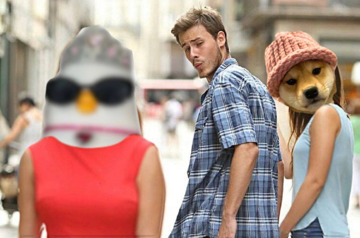 Wife changing money is made with token changing money 👀 #Solana #memecoin  <a href="/Jesseeckel/">Jesse Eckel</a> <a href="/henokcrypto/">Henok</a>