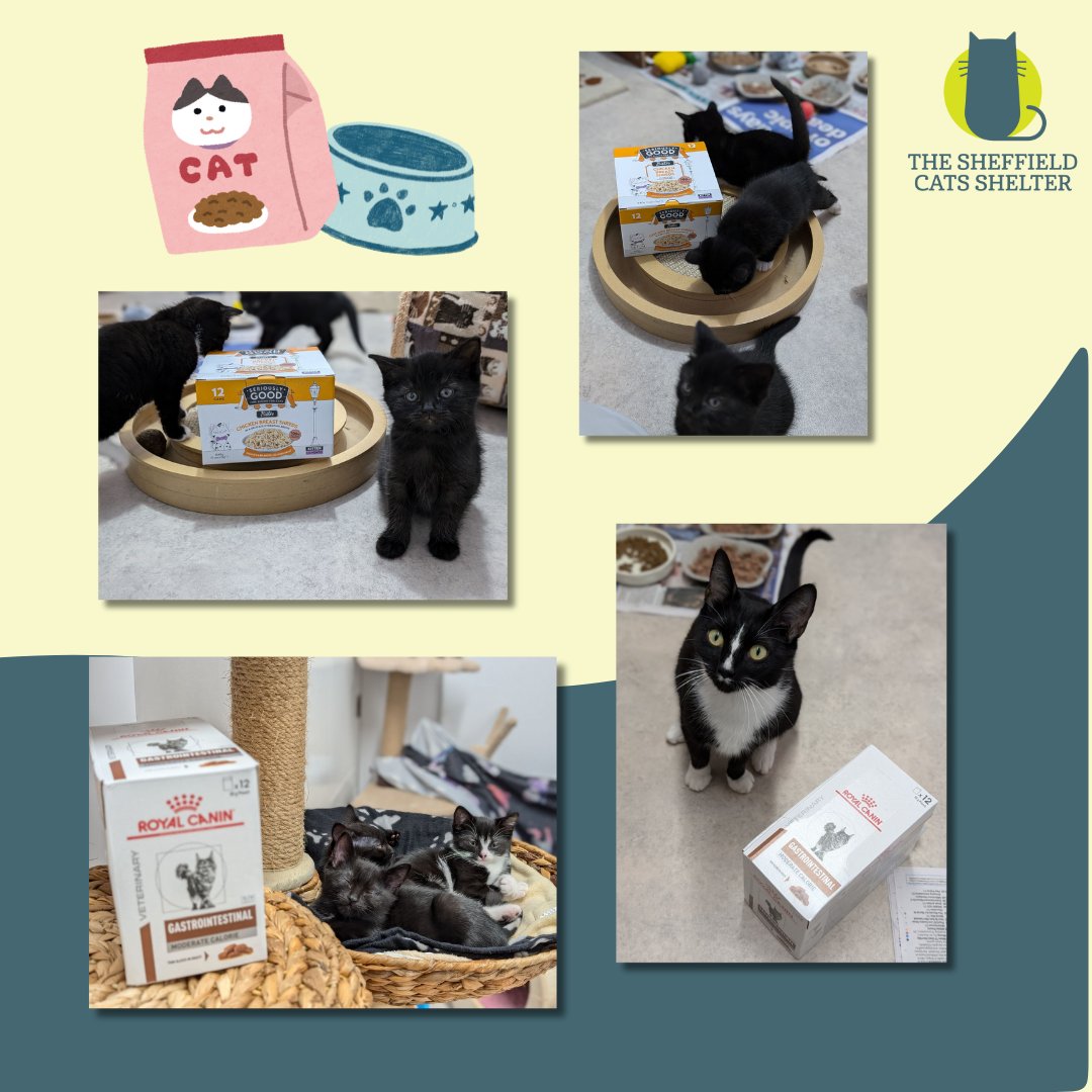 We need your help! 🐈‍⬛

We are running low on cat food, something we'll always need!! 

If you could help us by donating some Royal Canin food, or some tasty kitten food like Encore or Applaws, please head to our Amazon wishlist to help out: amazon.co.uk/hz/wishlist/ls…🐾

Thank you!💛