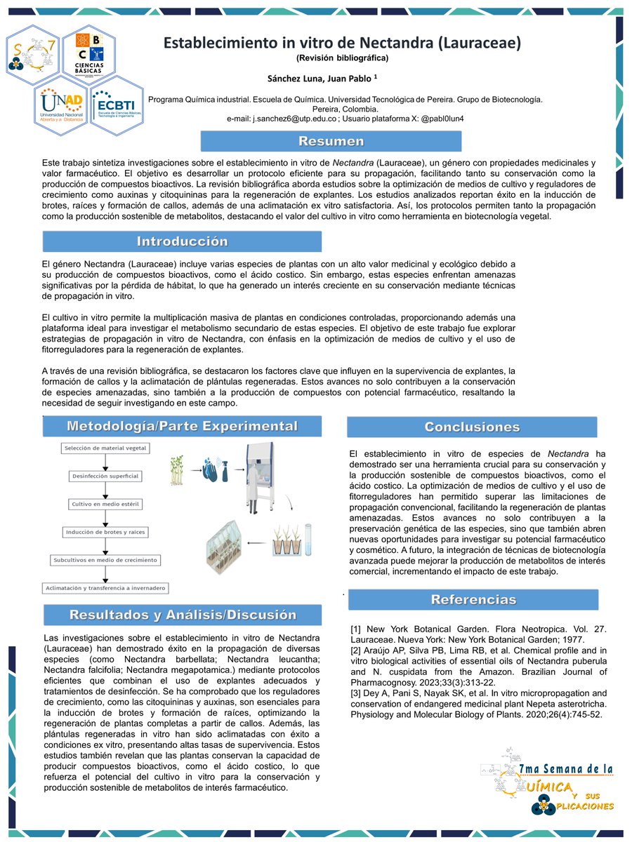 📷Póster #P6 Establecimiento in vitro de Nectandra (Lauraceae). Sánchez Luna, Juan Pablo. Universidad Tecnológica de Pereira. <a href="/pabl0lun4/">Juan Pablo Sanchez Luna</a> #EstoySemQuimicaUNAD