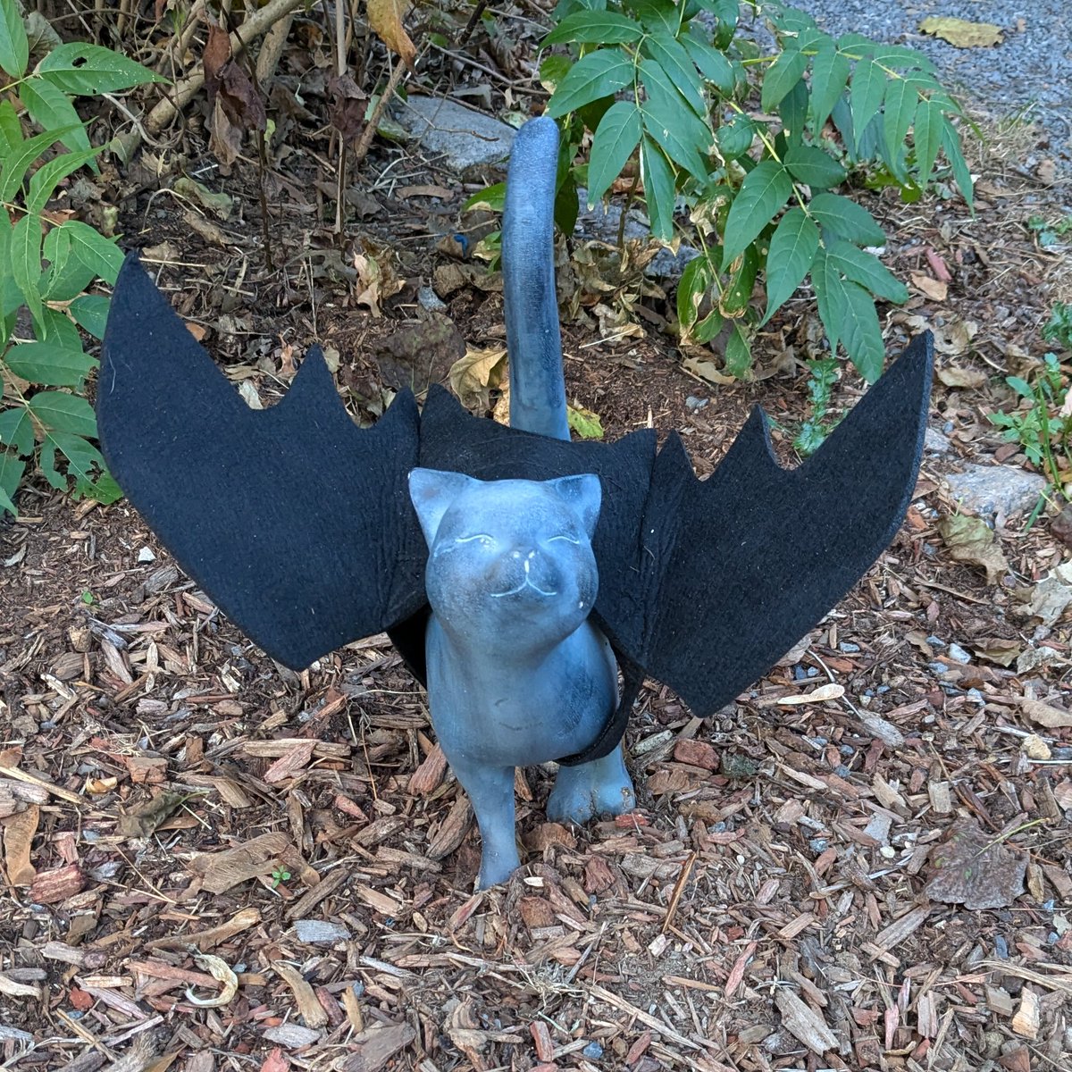 Best Halloween costume this year, without contest, goes to her: