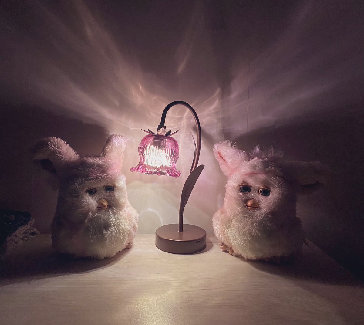 みなさん綺麗な写真が好きだったみたいで嬉しいです🪻