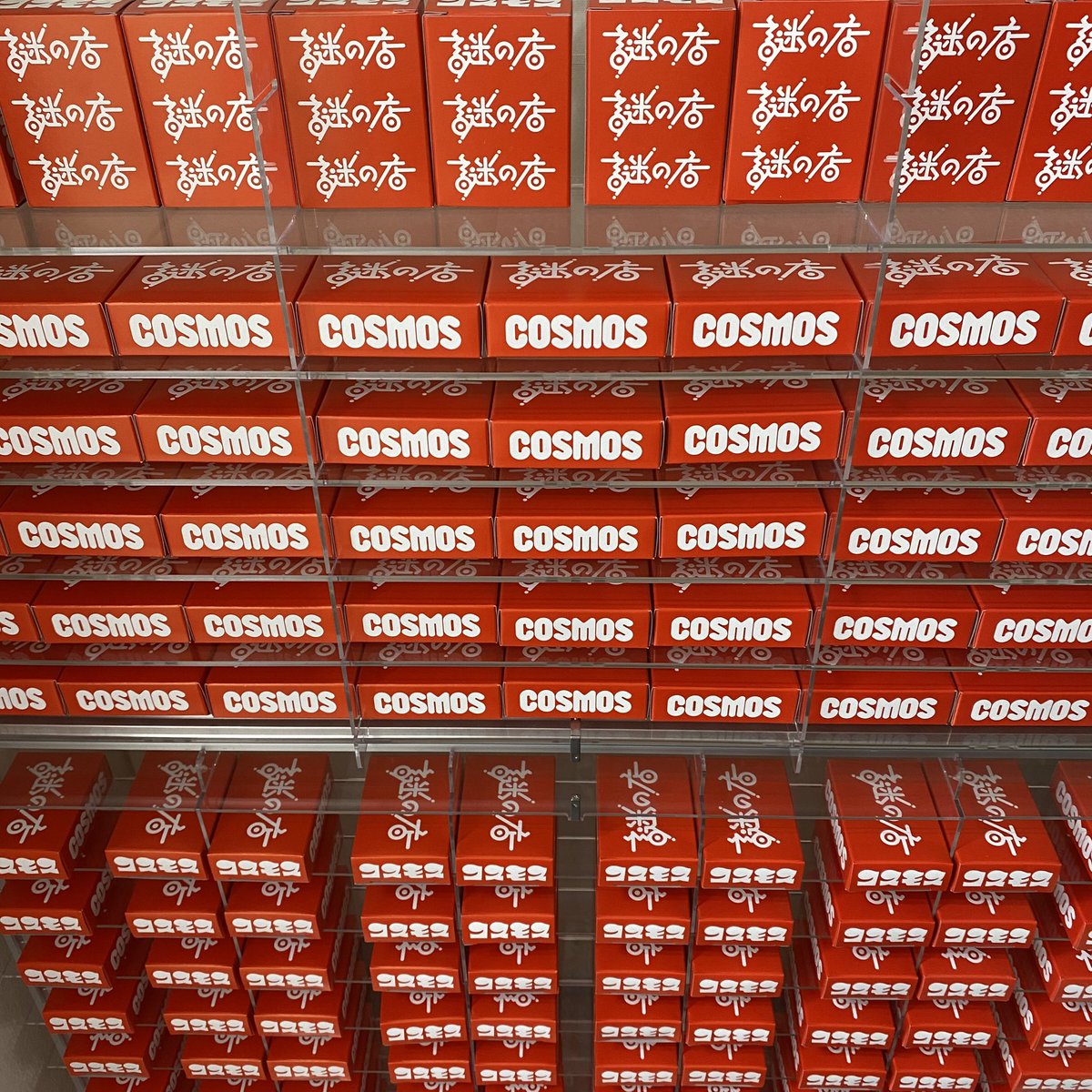 謎の店のコスモス