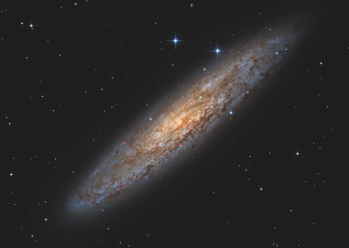 Astronomers love the challenge of  horizon-hugging southern constellations and seeking the deep-sky gems they host. Read our guide to going south in Sculptor: astronomynow.com/2024/10/31/goi…