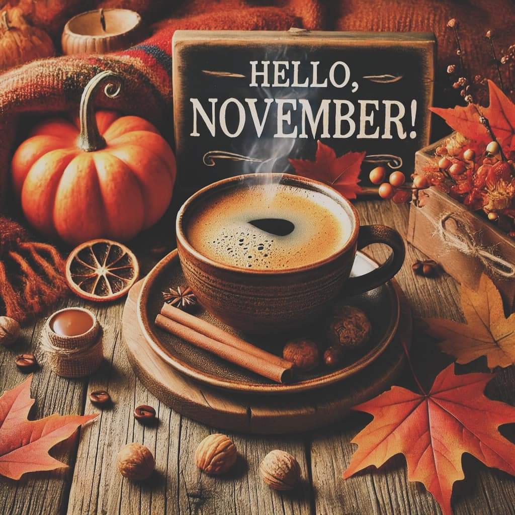 Julssszz1's tweet photo. Good Morning Friends!๐ Just like that November rolls in and we are in the 50's today... Burr Ohio. โโโโ
#NovemberMorning https://t.co/4v5O45UCcf