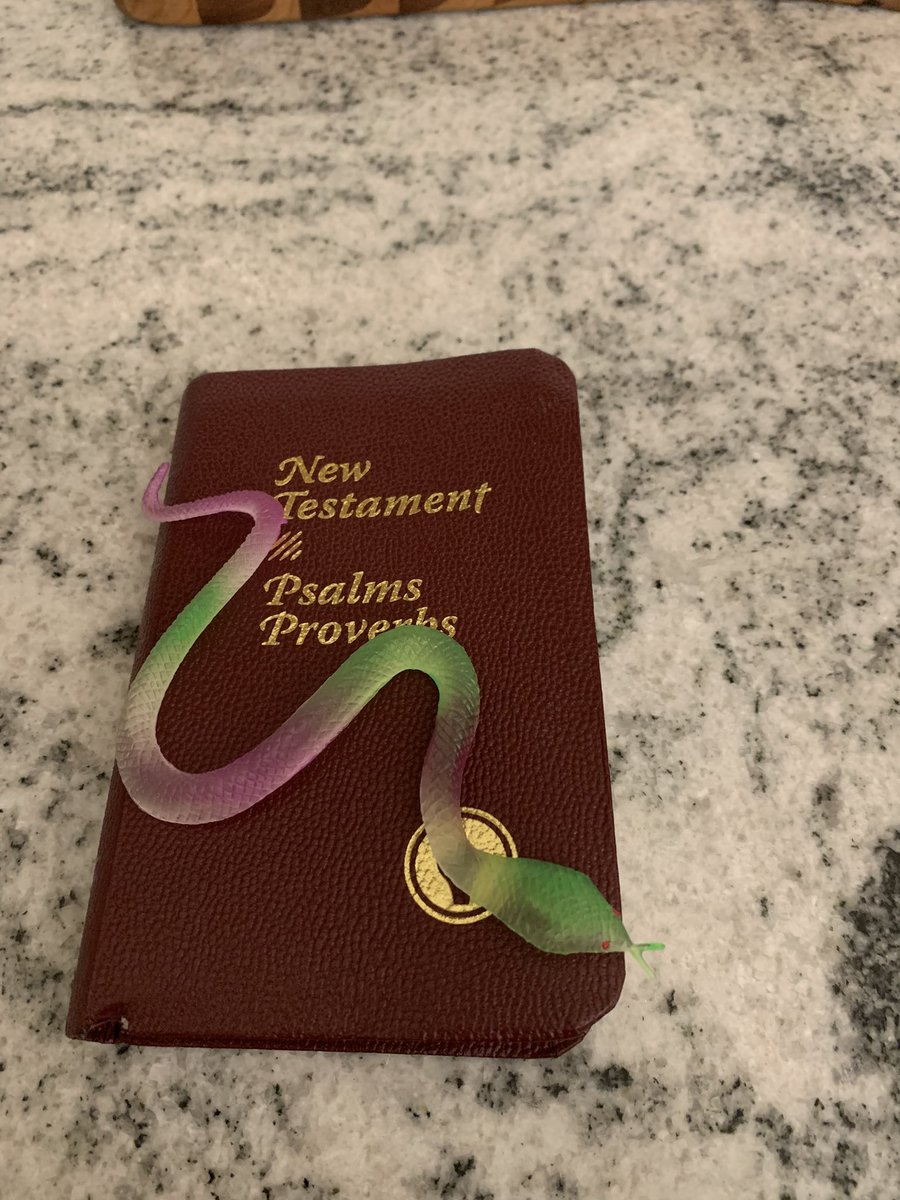 Forsaking typical toys/interests, my six year old daughter has taken to carrying around a Bible and a toy snake…

Clearly these <a href="/jordanbpeterson/">Dr Jordan B Peterson</a> lectures are starting to take hold 😂

<a href="/realDailyWire/">Daily Wire</a> 

#symbols #meaning #logos #intellect