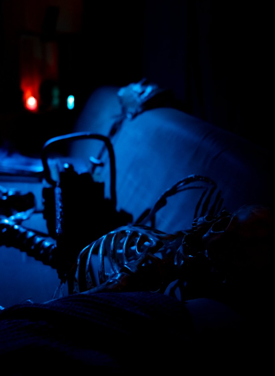 natromanovx's tweet photo. the vibes halloween this year .... 🎃 

setup by @BluntLegion @SpookyWelma 👻 https://t.co/cYfk87XmqH