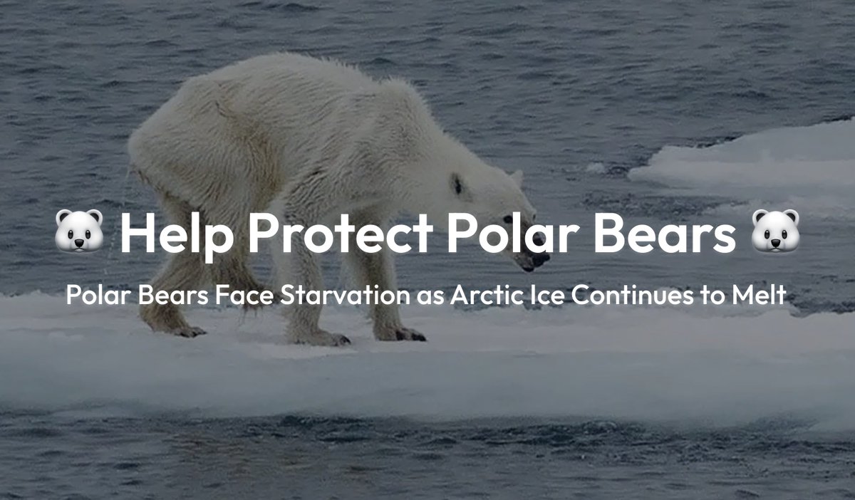 🐻‍❄️ Help Protect Polar Bears 🐻‍❄️

Polar bears face a vanishing world as the Arctic melts faster than ever, with less ice to hunt, rest, and raise their young.

Follow <a href="/polarbear_ufo/">👽️🐻‍❄️⛓️🧊Polarbearlovers.xyz</a> to join the movement to protect these gentle giants and keep their story alive.