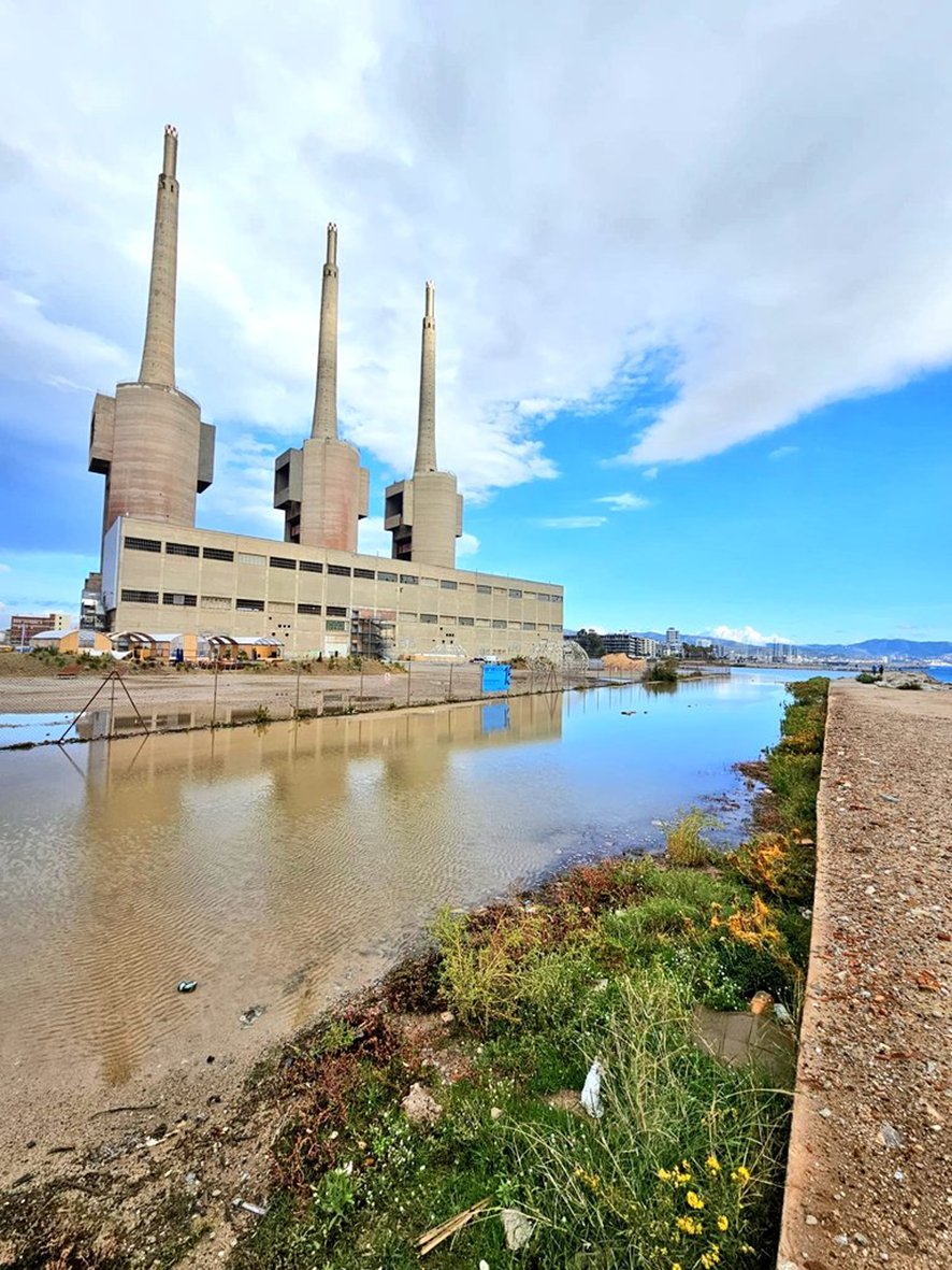 Entesa per a un gran parc litoral al Besòs tweet media