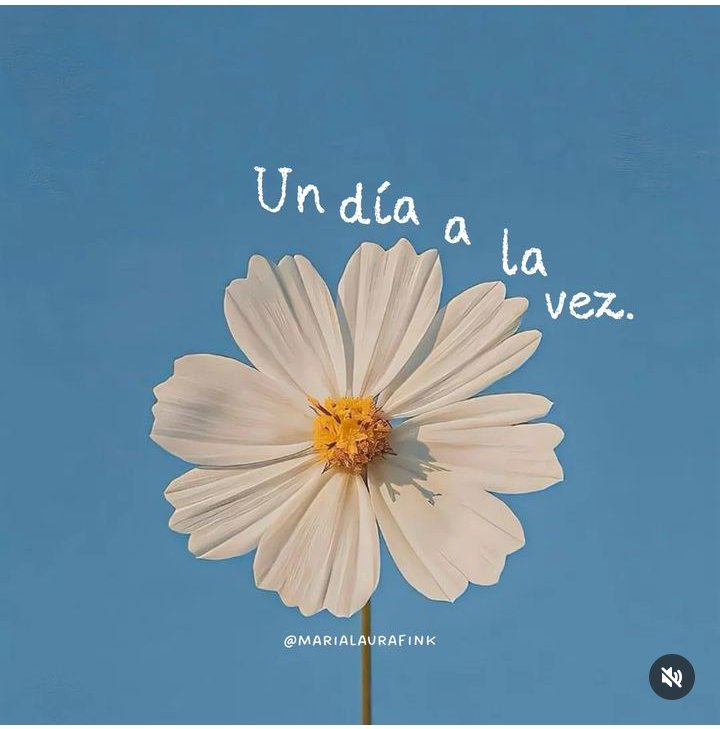 Lycia83's tweet photo. Noviembre https://t.co/rHjqcY64ks