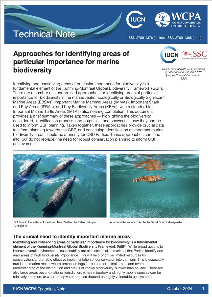 IUCN SSC Shark Specialist Group tweet media