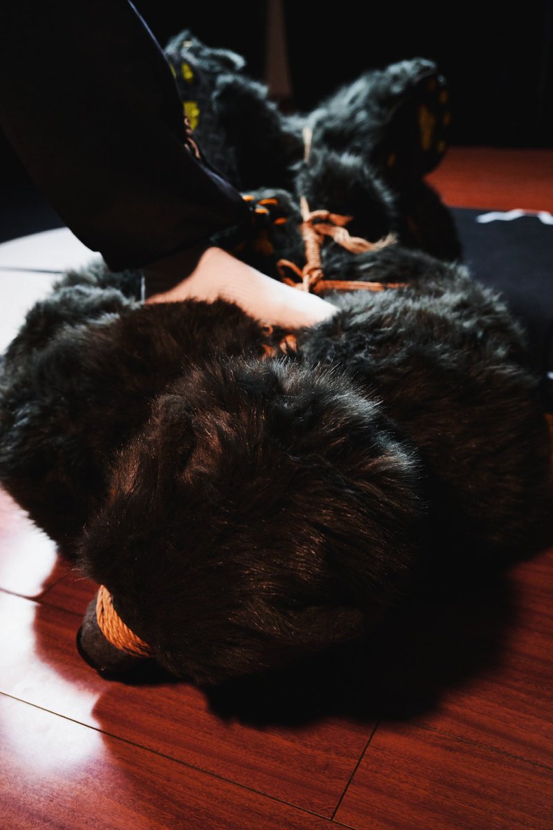 粗腿男孩 tweet media