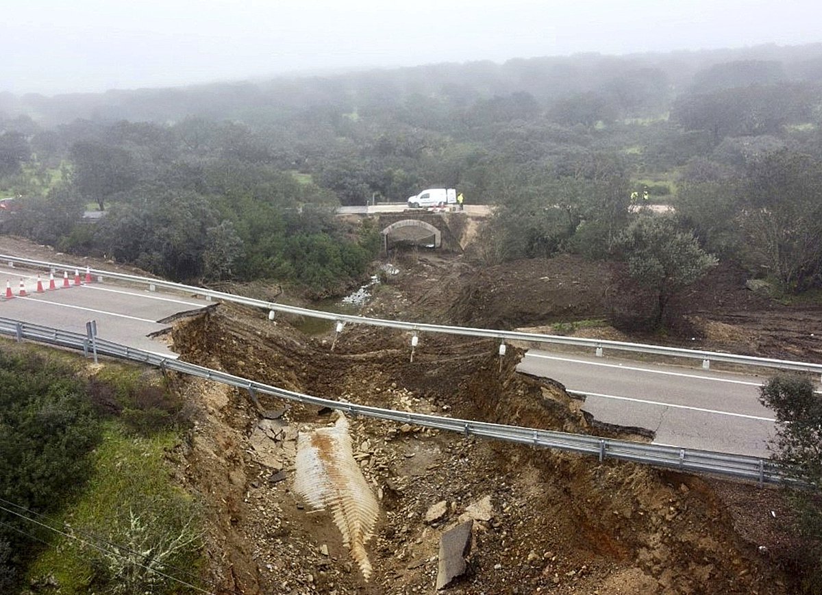 Turbitojosele tweet media